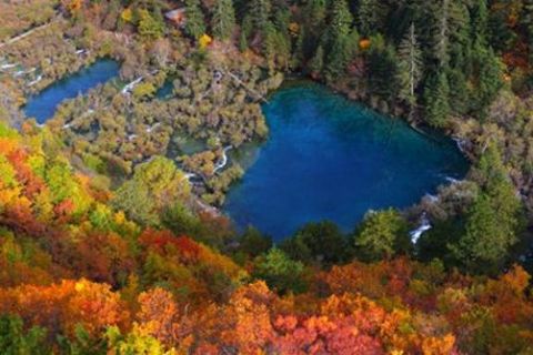 <九寨沟-黄龙-都江堰-青城山四飞6日游>西部风采