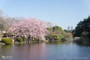 七月北京出发去日本旅游注意事项|尊享“三”温泉 日本豪华6日