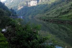 蒙顶山风景名胜区|蒙顶山旅游攻略【蒙顶山春茶采制一日游】