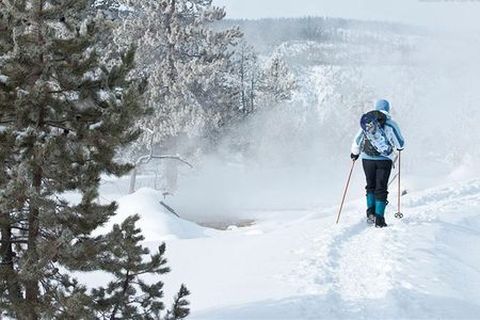 [春节]<冬日黄石公园9日游>滑雪橇，听圣音，感受纯白世界
