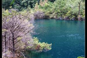 九寨沟旅游攻略|成都小吃地址青岛去四川九寨沟 牟尼沟四飞5日