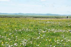 呼伦贝尔草原在哪_8月去呼伦贝尔草原海拉尔六日游_内蒙古旅游