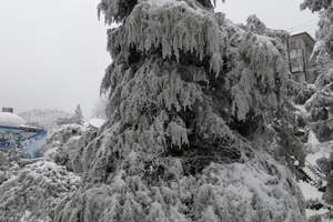 庐山看冬季雪景 南昌到庐山一日游 南昌到庐山旅游