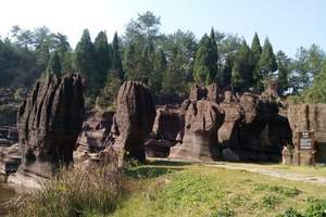 青春夕阳红苏州出发新安江山水画廊徽州古城雄村屯溪老街二日游