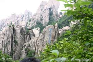 去哪玩_青岛出发石岛赤山神雕山野生动物园海驴岛休闲二日游