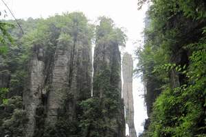 宜昌柴埠溪土家风情一日游  含往返索道