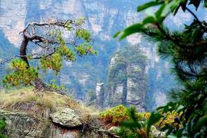 春节去哪里旅游，长沙到张家界、天子山汽车纯玩三日游（早班）