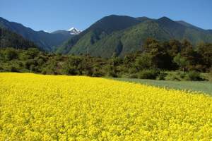 九江出发到庐山婺源三清山精华四日游（纯玩团）