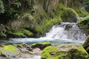 襄阳、天然氧吧神农架、道教名山武当山、武汉高铁五日游