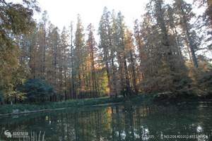 石家庄到春节到黄山旅游线路 石家庄春节到黄山千岛湖双卧六日游