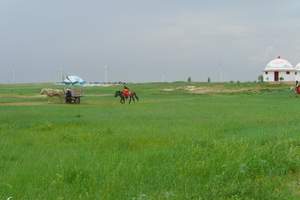 沈阳到大青沟两日游_大青沟旅游报价_沈阳周边游_哪里草原好