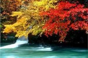 四川光雾山红叶哪个月最漂亮 10月下旬成都去光雾山红叶3日游