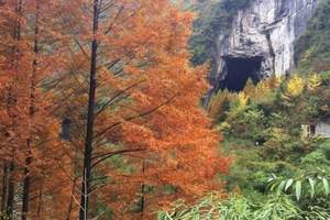 深圳到湖北恩施旅游—腾龙洞+土司城+野三峡双卧四日游价格住宿