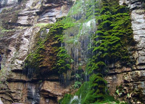 <云台山1日游>游仙境云台（当地游）