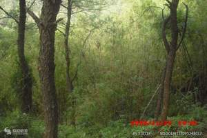 叮叮缘庄园亲子游|广州亲子旅游到西樵山平沙岛叮叮缘一天方案