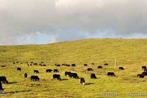 肯尼亚、坦桑尼亚12天猎奇之旅丨动物天堂丨异域奇景丨非洲旅游