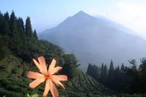 长春去九江【庐山、婺源】三清山、景德镇双卧8日【火车往返】