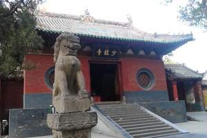 河南经典旅游线路 郑州出发去少林寺/龙门石窟一日游多少钱