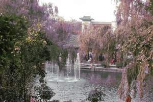 水上游京城、颐和园、动物园一日游