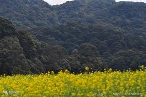 深圳去江西旅游多少钱 深圳到三清山、婺源五天火车团