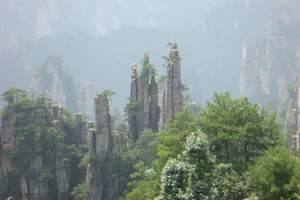 张家界全景纯玩三日游 天子山 阿凡达袁家界 黄龙洞 宝峰湖