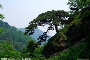 <泰山、岱庙、曲阜直通车三日游>扬州到泰山旅游