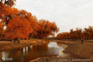 北京出发到胡杨林旅游：宁夏沙湖、额济纳旗、西夏王陵双卧八日