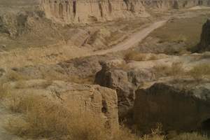 游沙坡头腾格里沙漠，寻遗失的西夏王朝二日游BC（含住宿）