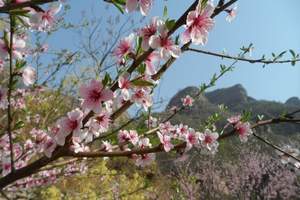 保定全胜峡景区一日游