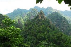 杨东山十二度水自然保护区
