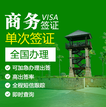 文莱旅游电子签证[全国办理]